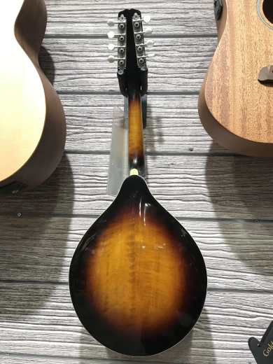 Kentucky KM-350s A-Style Mandolin 3